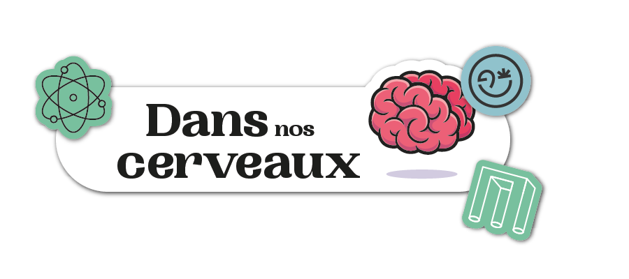 Dans nos cerveaux