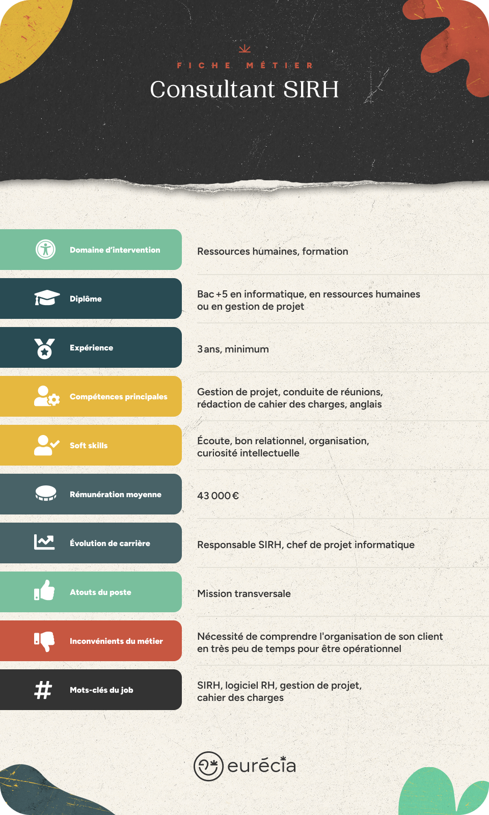 Infographie fiche métier consultant SIRH