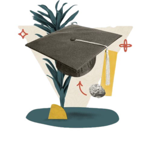 Illustration certification