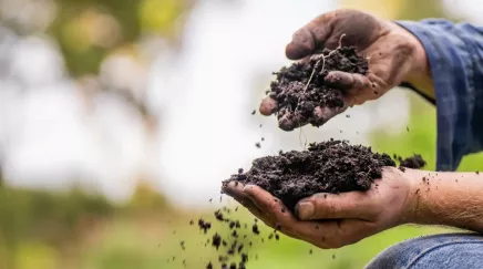 mains d'une personne égrenant de la terre